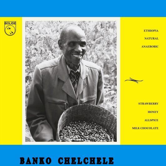 Ethiopia - Anaerobic Natural - Banko Chelchele