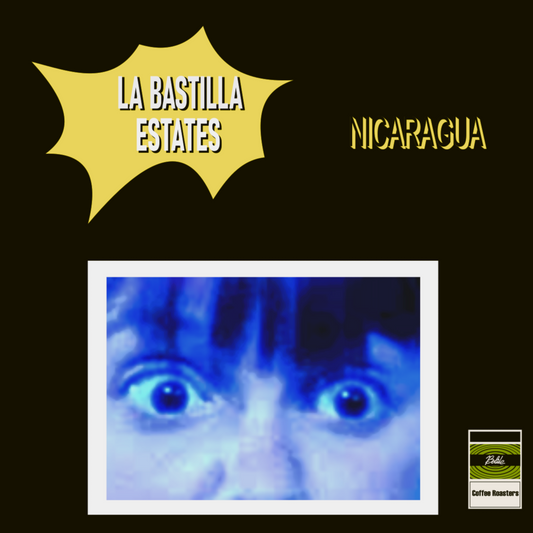 Nicaragua - Caturra - La Bastilla Estates