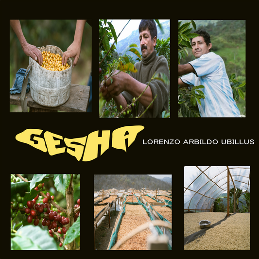 Peru - Gesha - Lorenzo Arbildo Ubillus